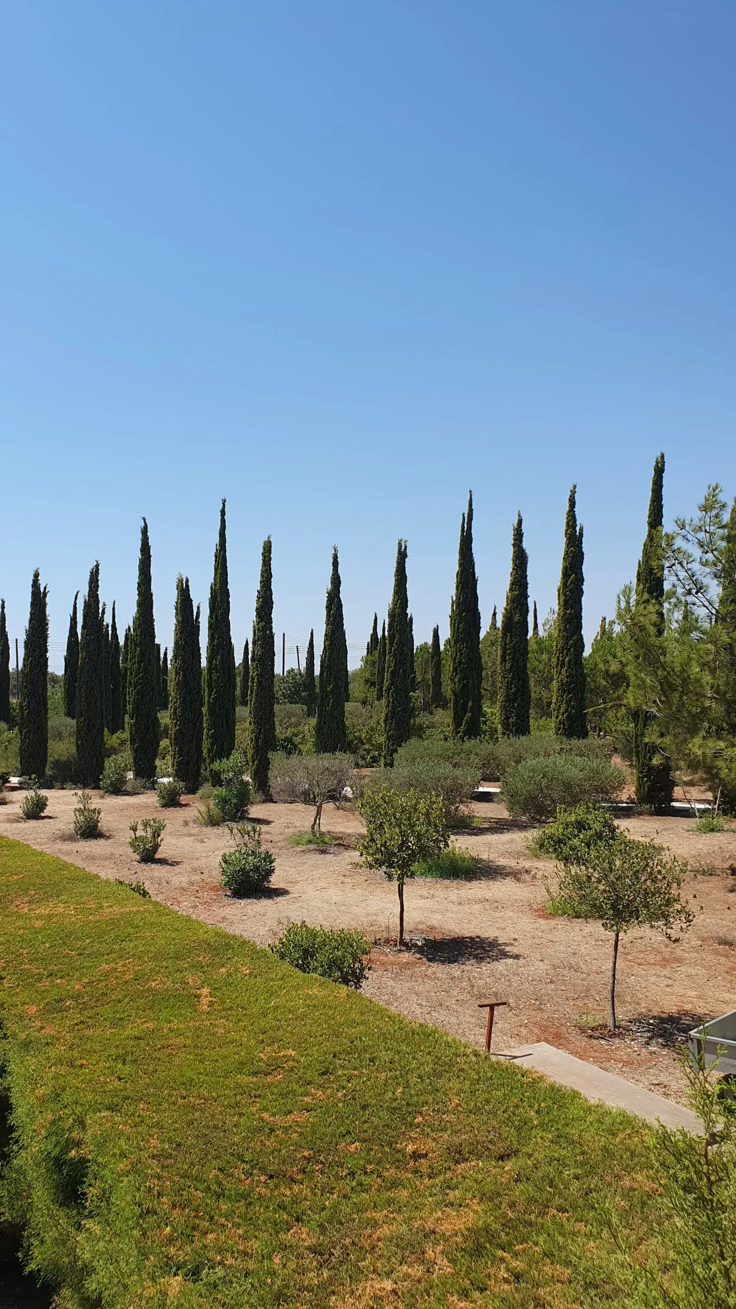 Co zwiedzać na Cyprze, czyli aromatyczna wyprawa na Cypr – cz. 1